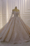 Off-the-Shoulder Long Sleeve Ball Gown Wedding Dress with Lace Appliques BM bride