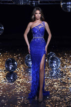 One Shoulder Sleeveless Appliques Front Split Long Prom Dress With Feather