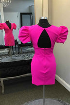 Simple Fuchsia V-Neck Short Sleeves Tight Short Homecoming Dress Bmbride