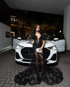 The Black Swan - 2026 Sequin & Feather Mermaid Gown: Deep V-Neckline with Dramatic Feather Cape & Sheer Mesh Panels