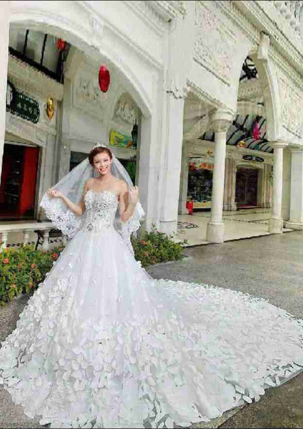 Stunning Beaded Sweetheart Appliqued Tulle Cathedral Train Wedding Dress in Refined A-Line Fit BM bride