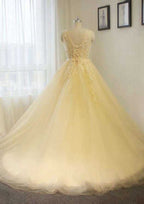 Appliqued V-Neck Tulle A-Line Wedding Dress with Chapel Train BM bride
