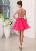 Radiant A-Line Halter Sleeveless Mini Organza Homecoming Dress With Crystal BM bride