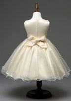 Graceful Organza Bateau Neck Tea-Length A-line Flower Girl Dress with Bowknot BM bride