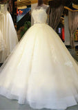Waistband Appliqued Ball Gown with Bateau Neckline and Sleeveless Design, Long Floor-Length Tulle BM bride