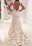 Appliqued Sheath/Column Sweetheart Sleeveless Wedding Dress with Sweep Train in Lace BM bride