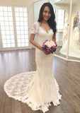 Lace V-Neck Short Sleeve Sheath Wedding Dress with Court Train BM bride