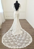 Lace V-Neck Short Sleeve Sheath Wedding Dress with Court Train BM bride