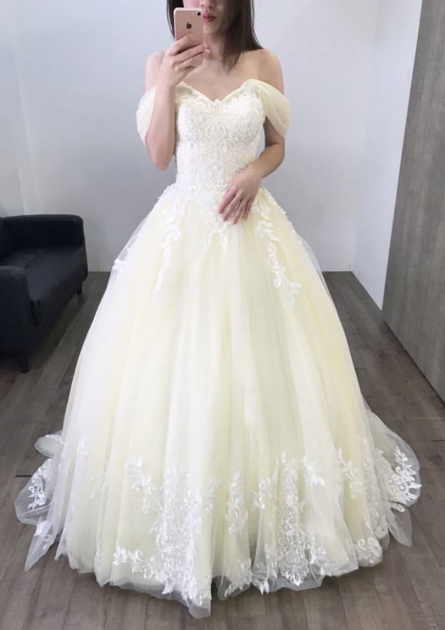 Appliqued Lace Sweep Train Ball Gown Wedding Dress with Sleeveless Off-The-Shoulder Design in Tulle BM bride
