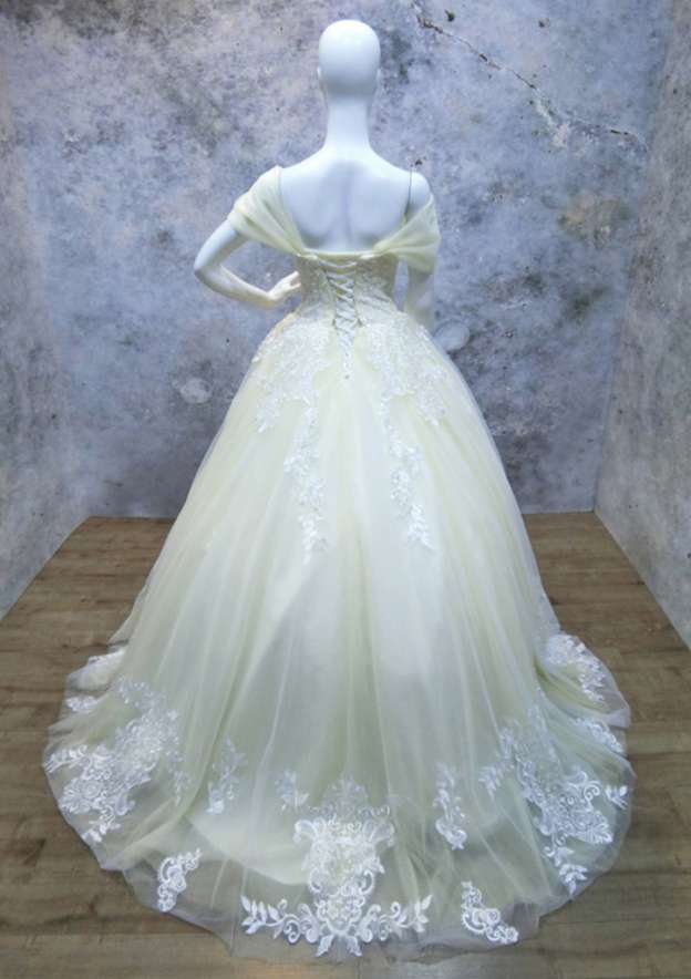 Appliqued Lace Sweep Train Ball Gown Wedding Dress with Sleeveless Off-The-Shoulder Design in Tulle BM bride