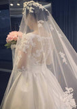 Appliqued Lace A-Line/Princess V-Neck Wedding Dress with Full Long Sleeves and Chapel Train in Satin BM bride