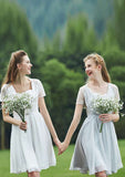 Short/Mini Chiffon Bridesmaid Dress, A-Line/Princess Style, Scalloped Neck, Short Sleeve, With Lace BM bride