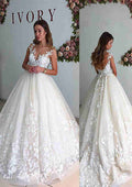 Delicate Lace Wedding Dress with A-Line/Princess Silhouette, Illusion Neck, Sleeveless Design, and Chapel Train BM bride