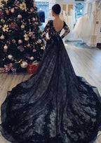 Regal Ball Gown: V-Neck Full Long Sleeve with Chapel Train and Lace Details BM bride