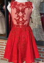 Beautiful A-Line V-Neck Sleeveless Lace Mini Homecoming Dress With Beading BM bride