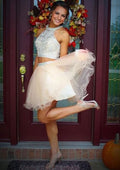 Exquisite A-Line Halter Sleeveless Organza Mini Homecoming Dress With Beading Sequins BM bride