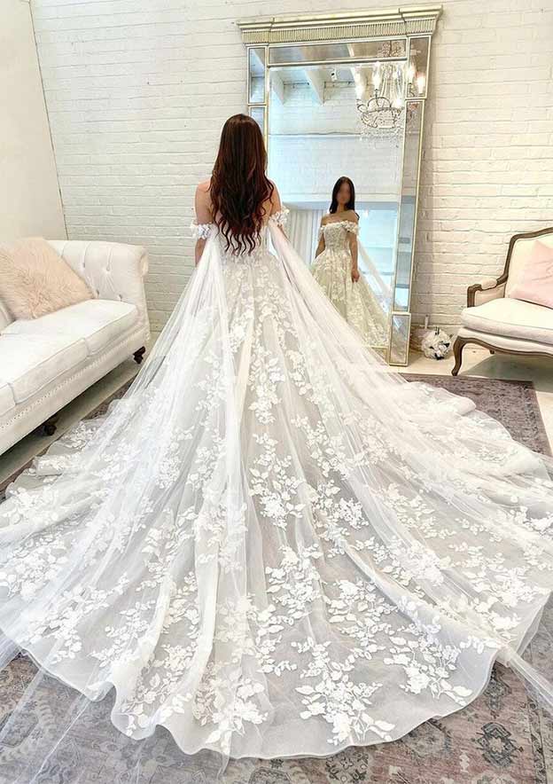 Elegant Off-the-Shoulder Sleeveless Chapel Train Tulle Wedding Dress with Appliqued Details in Ball Gown Silhouette BM bride
