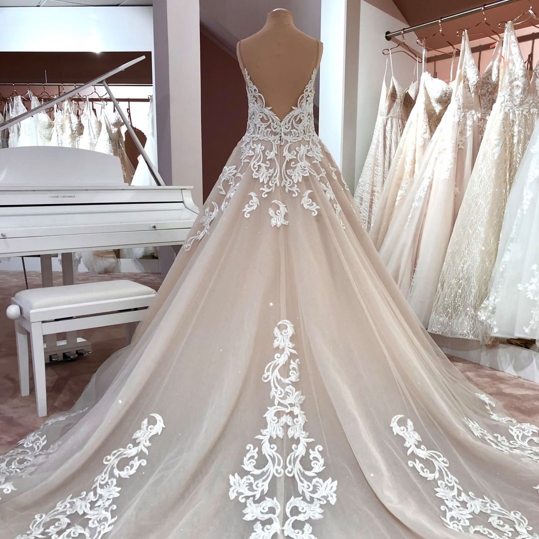 Vintage A-Line V-Neck Spaghetti Strap Backless Wedding Dress with Lace Appliques and Tulle BM bride