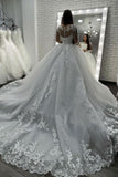 Sheer Tulle Ball Gown Wedding Dress With Long Sleeves Appliques BM bride