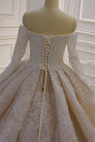 Off-the-Shoulder Long Sleeve Ball Gown Wedding Dress with Lace Appliques BM bride
