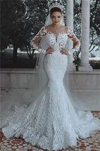 Gorgeous Long Sleeve Mermaid Wedding Dress with Lace Appliques BM bride