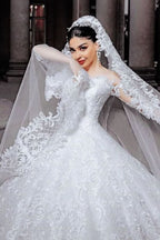 Princess Beaded Applique Long Wedding Dress with Sleeves and Tulle BM bride