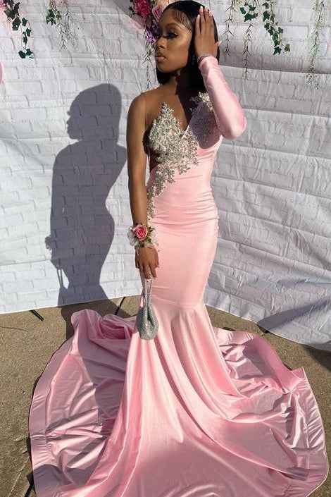 Pink One Long Sleeve Mermaid Long Prom Dress Waist Skimming With Appliques