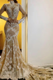 High Neck Long Sleeve Lace Mermaid Wedding Dress with Open Back BM bride