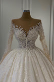 Gorgeous Long Sleeve Ball Gown Wedding Dress with Lace and Beading BM bride
