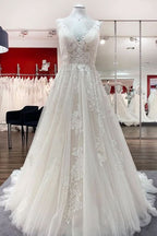 Simple V-Neck Long A-Line Tulle Lace Wedding Dress with Open Back and Appliques BM bride