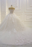 Off-the-Shoulder Sweetheart Ball Gown Wedding Dress with Sequin Lace Appliques BM bride