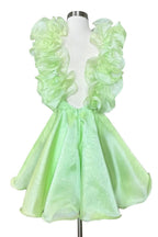 Nerissa |A Line Organza V Neck Homecoming Dress BM bride