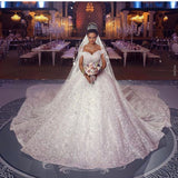 Long Sleeveless Princess Off-the-Shoulder Lace Wedding Dress BM bride