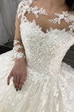 Sheer Tulle Ball Gown Wedding Dress With Long Sleeves Appliques BM bride