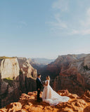 Long A-Line V-Neck Tulle Train Wedding Dress with Lace Appliques BM bride