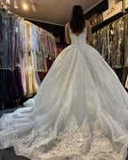 Gorgeous Lace Backless Floor-Length Wedding Dress with Train and V-Neck Appliques BM bride