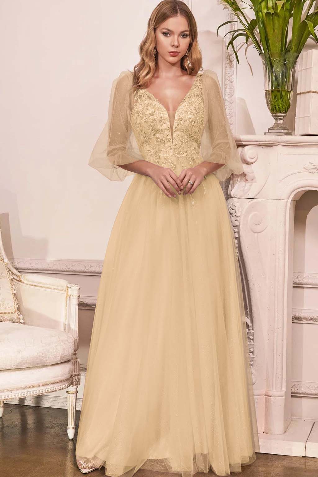 Charming Tulle V Neck Sleeveless Long Prom Dress With Appliques