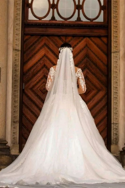 Long Sleeve V-Neck Lace Applique Mermaid Wedding Dress with Detachable Skirt BM bride