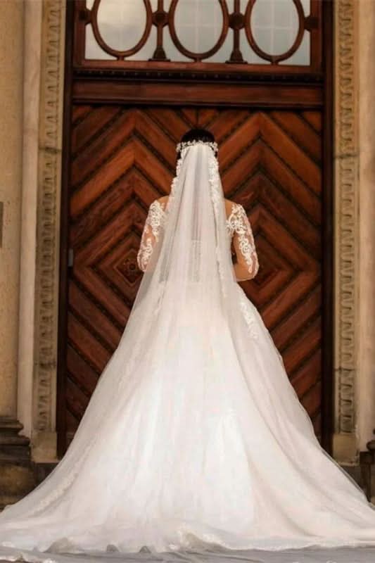 Long Sleeve V-Neck Lace Applique Mermaid Wedding Dress with Detachable Skirt BM bride