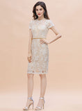 Jewel Short Sleeves Tulle Lace Knee-Length Dress BMbride