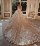 BMbride Luxury Long Glitter Wedding Dresses Princess with Lace BMbride
